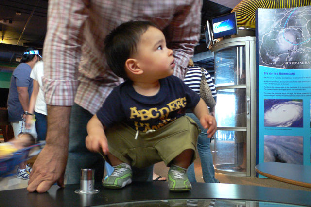 P51.JPG