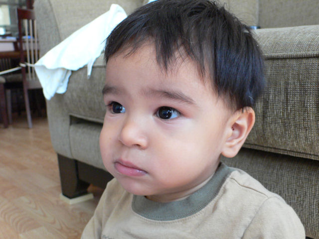 P21.JPG
