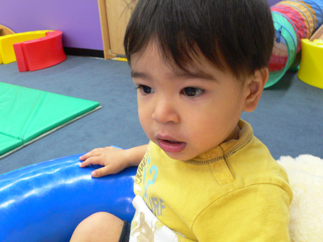 P11.JPG
