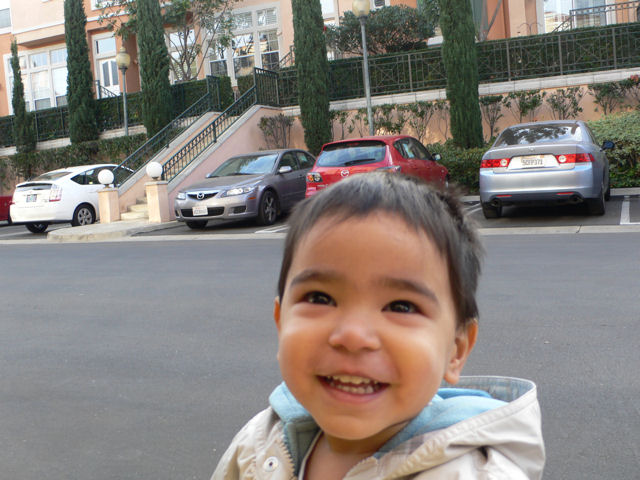 P1.JPG