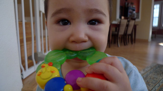 P1010610.JPG