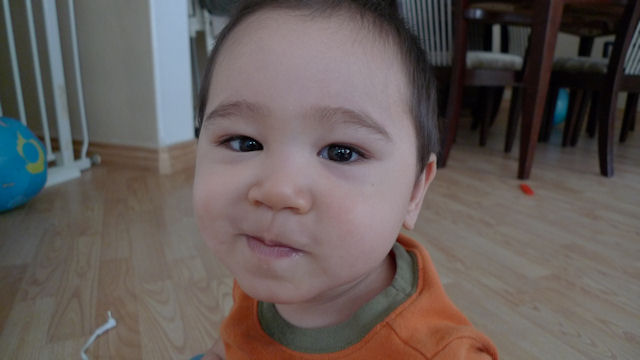 P10106104.JPG